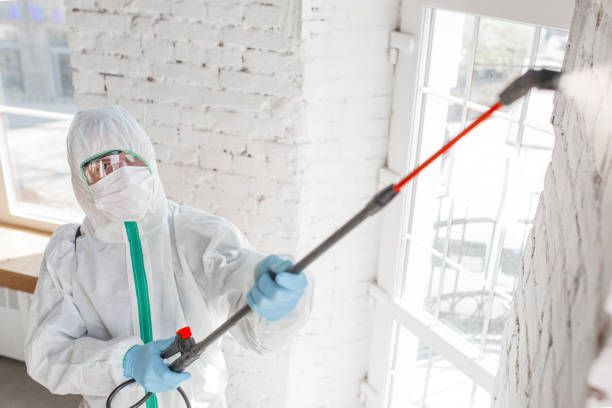 Lebanon, MO Mold Removal Company